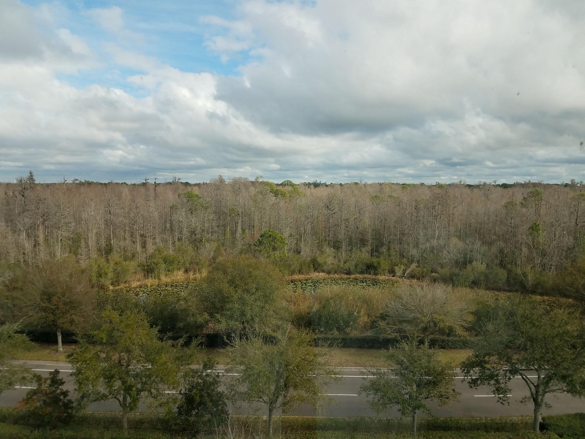 Hilton Garden Inn Tampa Suncoast Parkway Lutz Exterior foto